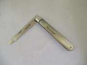 Victorian Fruit Knife-Silver Blade-Birmingham 1884