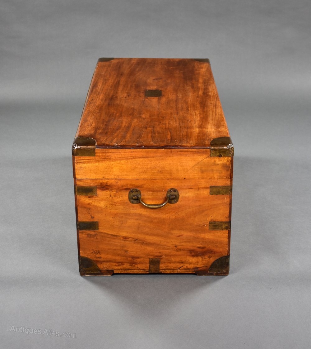Victorian Camphor Wood Trunk Antiques Atlas