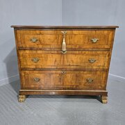 Super Walnut Chest of Drawers