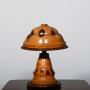 Brazilian Monkey Puzzle Tree Wood Lamp and Shade