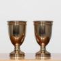 Pair of Classical Shaped Cast Bronze Urns