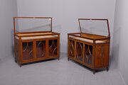 Rare Pair Of Adam Style Mahogany Display Counters