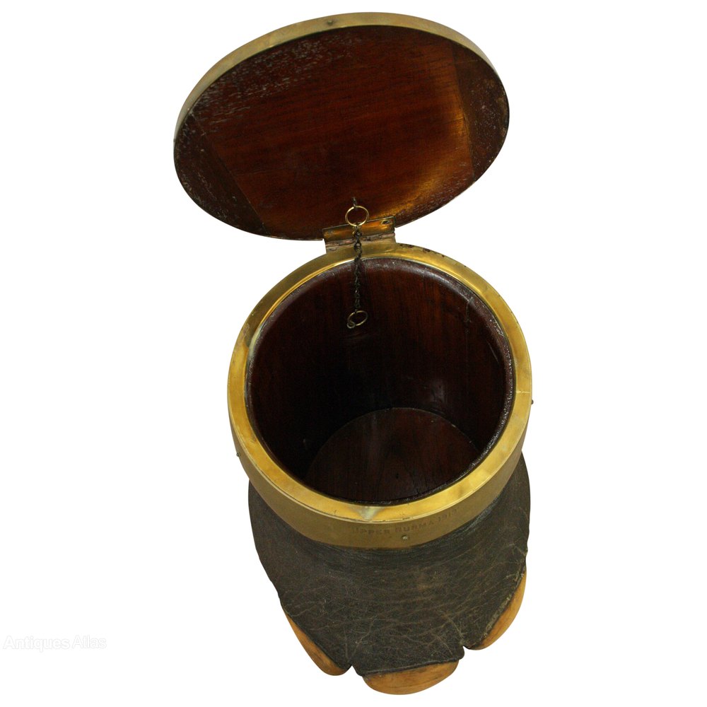 Antiques Atlas Taxidermy Elephants Foot