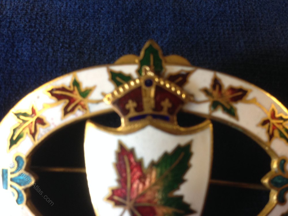 Antiques Atlas Beautiful Enamel Brooch.Canadian Maple Emblem