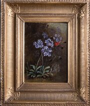 19th Century Still Life Of Butterfly & Flowers.