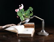 Large Brass Angle-Poise Library Magnifying Glass