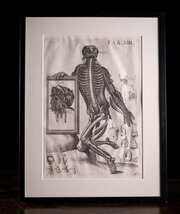 Pietro Berrettini (1596-1669) Engraving Plate XIII