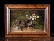Still Life Bird Nests and Primroses Oil On Board