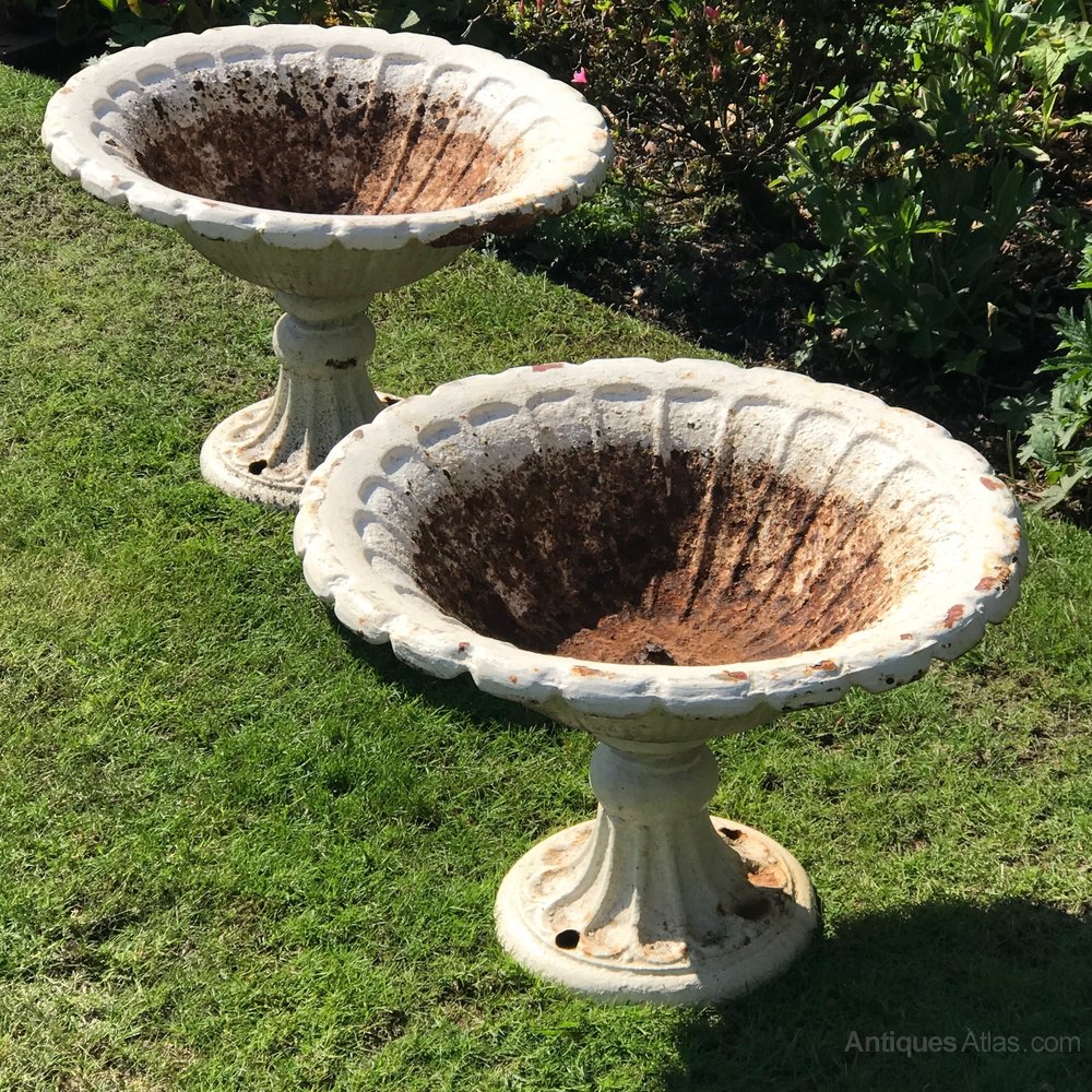 Antiques Atlas Pair Of Victorian Cast Iron Tazza Garden Urns