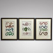 Set 18th Century Hand Coloured Serpent Engravings