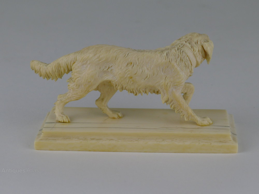 Antiques Atlas Quality 19th C Dieppe Ivory Dog