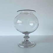 Georgian Glass Medical Leech Jar