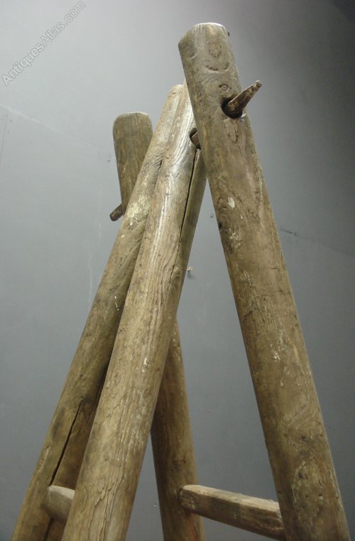 Antique French Fruit Picking Ladders Antiques Atlas