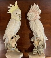 Pair Of Royal Dux Cockatoos