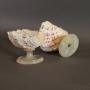Italian  clam shell