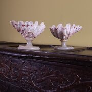 Pair Of Clam Shell Tazza On Turned Alabaster Bases