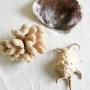 Decorative Coral & Shells