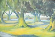 Large Trees Landscape Oil On Board