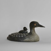 Decoy In The Form Of An America Loon With Her Chic