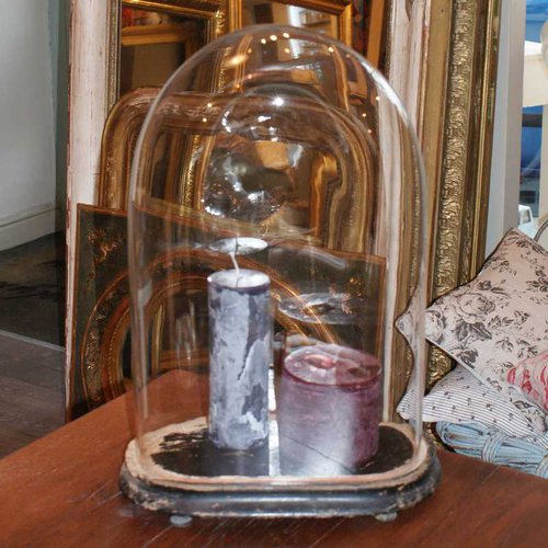 Antiques Atlas Antique Glass Dome Cloche Display