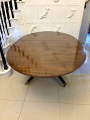 Antique Mahogany Extending 10 Seater Dining Table