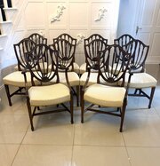Antique Maple & Co Shied Back Dining Chairs