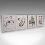 4 Vintage Botanical Pictures, Framed Print, Plants