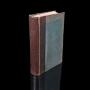 Antique Reference Book, British Fungi, Naturalist