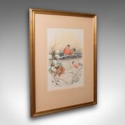 Antique Watercolour Finch Painting, English School