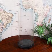 Large Antique Victorian Display Dome, English
