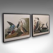 Pair Of Vintage Duck Pictures, English, Prints