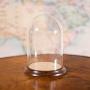Small Antique Display Dome, English, Glass, Beech