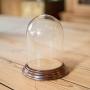 Small Antique Display Dome, English, Glass, Oak
