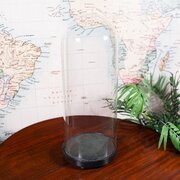 Tall Victorian Antique Display Showcase, English