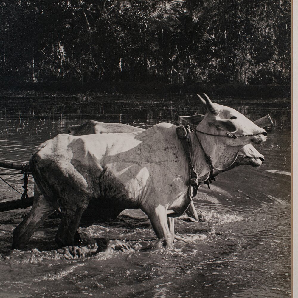 Atlas Rudal Antiques Atlas - Vintage Photograph, Rural Indonesia, Oriental Art ...