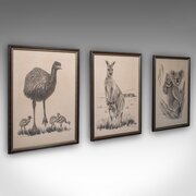 Vintage Wildlife Picture Trio, Australian Interest