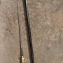 walking stick  cane