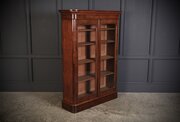 Antique 19th Century Mahogany Glazed Cabinet