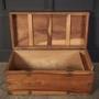 camphor  trunk
