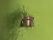 Vintage Copper And Brass Wall Pocket Planter