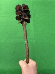 Indonesian Or Pacific Club?