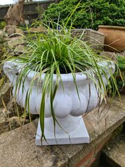 Attractive Tuscan Terracotta Urn