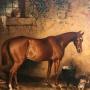 Horse Paintings