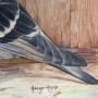 Bird Art