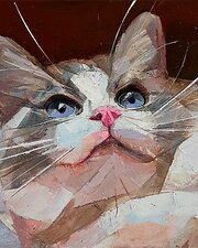 Beautiful Cat