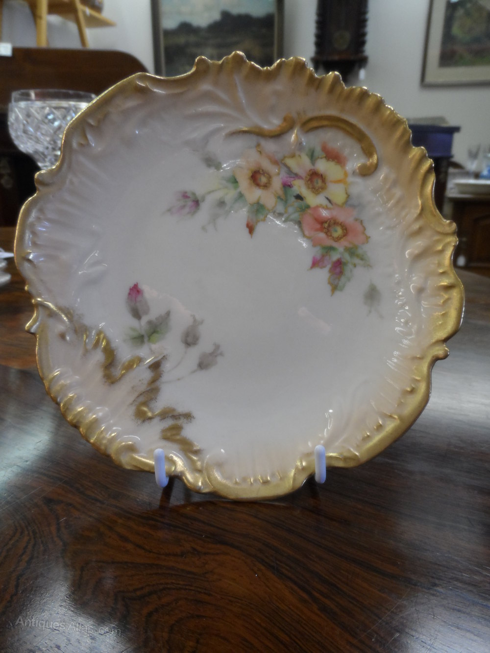 Antiques Atlas Nautilus Porcelain Plate