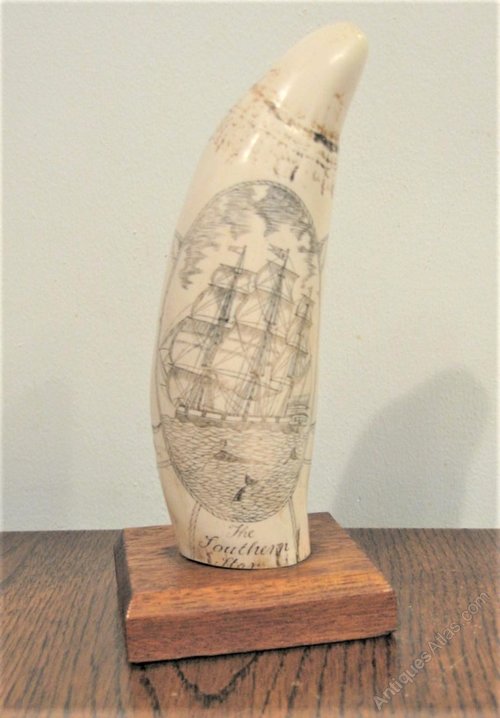 antiques-atlas-scrimshaw