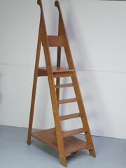 Large Oak Library Ladders