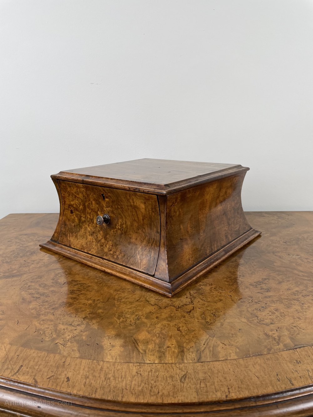 Victorian Burr Walnut Plinth With Drawer Circa1850 Antiques Atlas