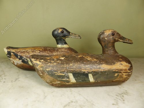 Antiques Atlas Pair Of 19th C Decoy Ducks Antiques Atlas Pair Of 19th C Decoy Ducks